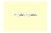 Poly Neuropath