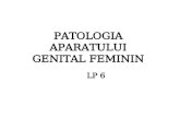 Patologie Genital Feminin 6