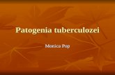 Patogenia Tbc.doc