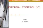 Internal Control (3)