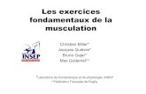 Les Exercices Fondamentaux Musculation 2