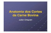 Cortes Carne Bovina.