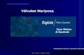 TFCChP Charla Valvulas Mariposa ENE24 06