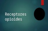 3.-Receptores opioides