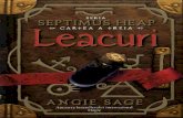 Angie Sage 3 Leacuri Septimus Heap PDF