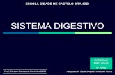 01 Sist Digestivo Tc 0809