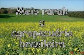 Agroeconomia no brasil