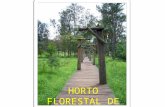Horto Florestal De Rio Claro