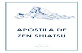 Zen shiatsu (evaldo