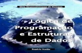 Logica programacao estruturadados-INFORMATICA PARA CONCURSO