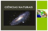 Ciências naturais 7   terra um planeta com vida