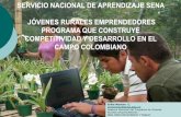 Servicio nacional de aprendizaje sena jóvenes rurales emprendedores programa que construye competitividad y desarrollo en el campo colombiano