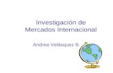 InvestigacióN De Mercados Internacional