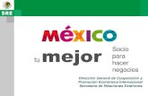 MEXICO: SOCIO PARA HACER NEGOCIOS