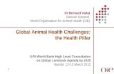 Global animal health challenges: The health pillar