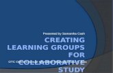 Collaborative learning groups
