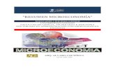 Resumen Rubinfeld y Pindyck  capitulos 1  10 microeconomía