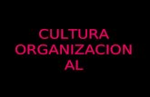 Cultura/Sociedad -Cultura organizacional-