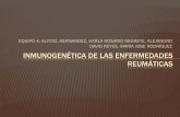 Inmunogenética de las enfermedades reumáticas