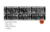 Cultura precolombina