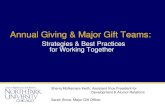 Aci annual giving and major giving may 2014 final