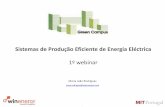 Webinar #1: "Sistemas de Produção Eficiente de Energia Elétrica” pela Dra Maria João Rodrigues, da Winenergy