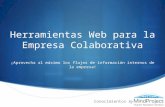 Herramientas Web para la Empresa Colaborativa