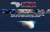 Publication - "The private sector, driving force to africa's growth"