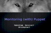 Puppet Camp Duesseldorf 2014: Kris Buytaert - Monitoring (with) Puppet