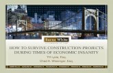 HOW TO SURVIVE CONSTRUCTION PROJECTS DURING TIMES OF ECONOMIC INSANITY