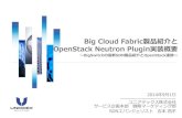 Big Cloud Fabric製品紹介とOpenStack Neutron Plugin 実装概要