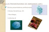 9. células presentadoras de  antígenos (04/sep/2013)