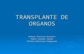 Transplante de organos por violeta dimitrova, pablo garcia y rafael alastrue