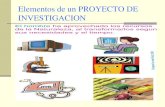 Elementos Proyecto Investigacion