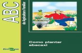 ABC Como plantar abacaxi