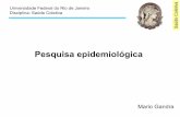 Saúde Coletica - 4. pesquisa epidemiológica