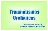Traumatismos urologicos
