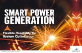 Smart Power Generation: Flexible Capability for System Optimization