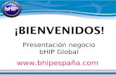 Bhip España - Presentacion negocio