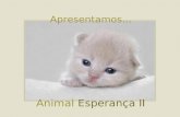 Animal esperanca II