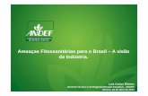 IV WSF, Vilhena - Luis Carlos Ribeiro - Ameaças Fitossanitárias para o Brasil – A visão da Indústria.