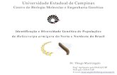 III WSF, Campinas – Thiago Mastrangelo - Identificação e Diversidade Genética de Populações de Helicoverpa armigera do Norte e Nordeste do Brasil
