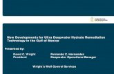 DIF Hydrate Remediation & Blockage Removal Presentation