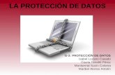 La Proteccion De Datos
