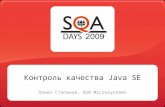 Павел Степанов, Система контроля качества Java SE