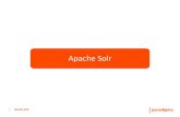 Seminario Apache Solr