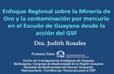 Minería de oro y contaminación por mercurio en el Escudo de Guayana