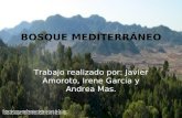Bosque mediterráneo 3.0.1