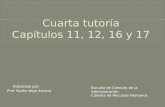 Iv tutoria curso_208