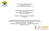PROYECTO PORCICULTURA